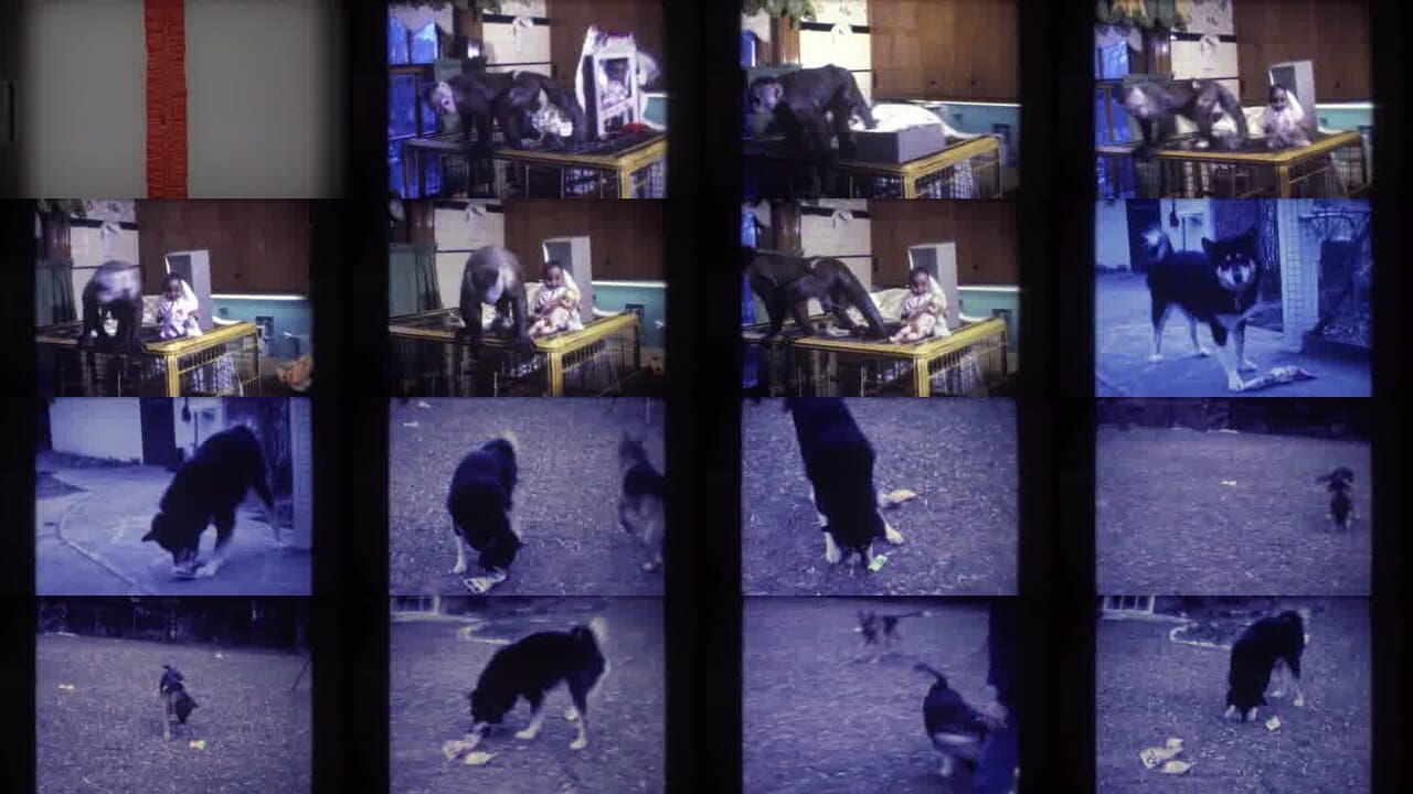 1973 Medford New Jersey