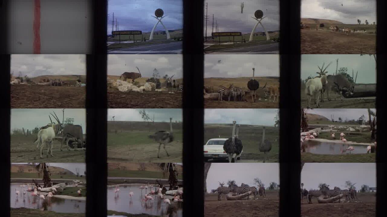 1974 Irvine California