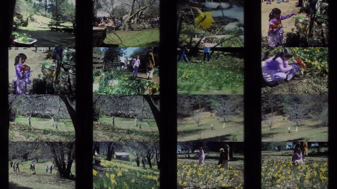 1985 Daffodil Hill California