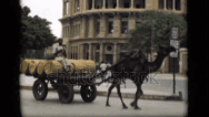 1946 Egypt