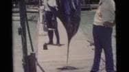 1956 Florida
