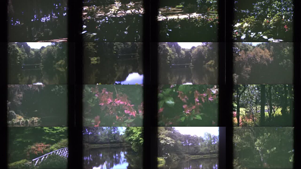 1951 Florida archival home movie collage showing representative scenes from this vintage stock footage collection