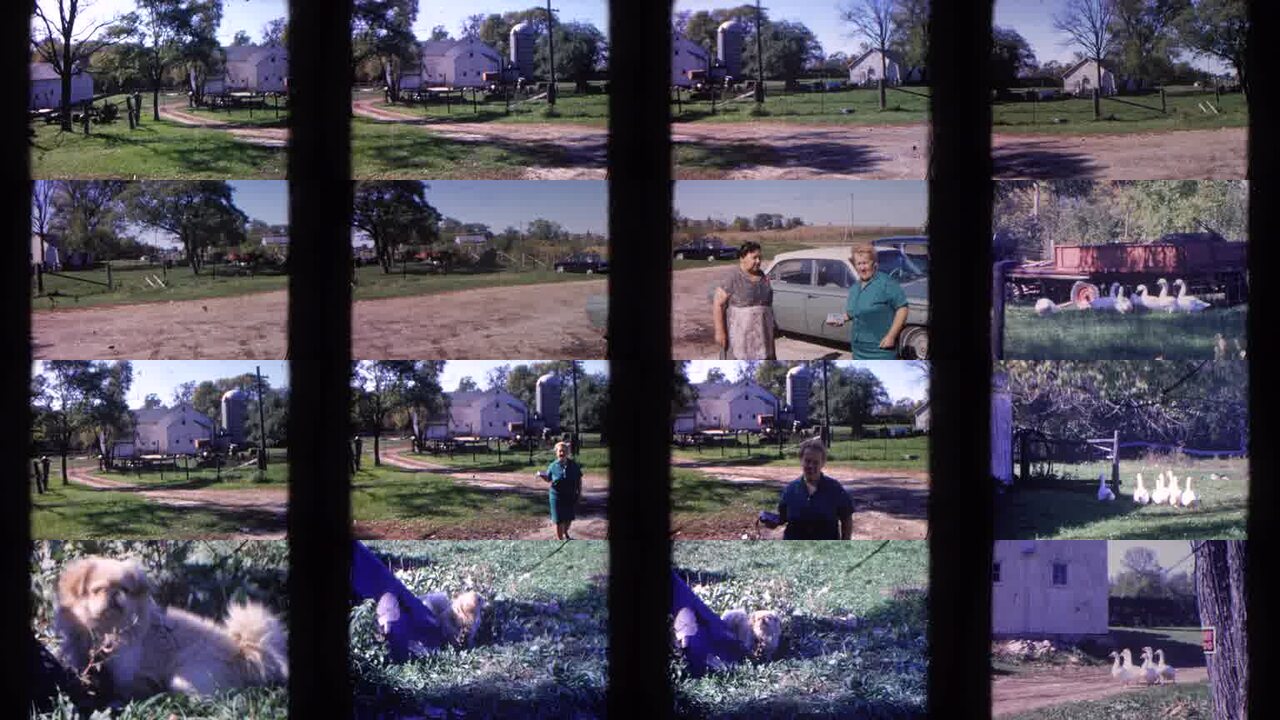 1968 Wauconda Illinois archival home movie collage showing representative scenes from this vintage stock footage collection