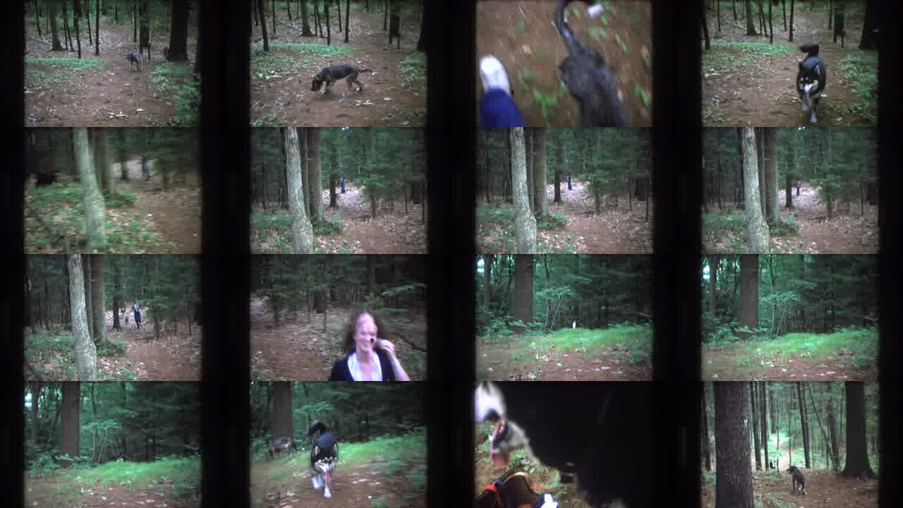 1975 Baxter Maine archival home movie collage showing representative scenes from this vintage stock footage collection