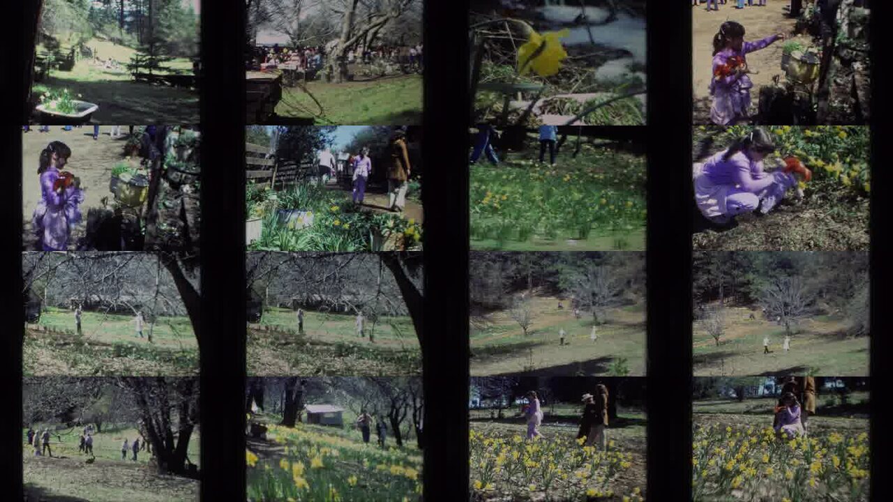 1985 Daffodil Hill California archival home movie collage showing representative scenes from this vintage stock footage collection